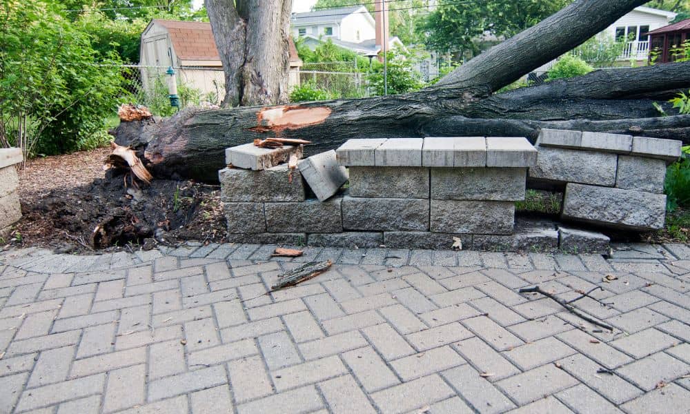A fallen tree damaging a backyard wall, showing how a property survey helps prevent boundary mistakes and tree disputes between neighbors