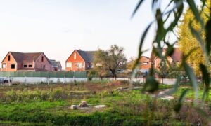 Overgrown vacant lot near residential homes where a lot survey helps determine legal responsibility