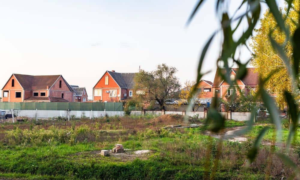 Overgrown vacant lot near residential homes where a lot survey helps determine legal responsibility