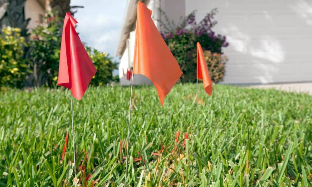 Licensed surveyor near me marking property boundary before fence installation